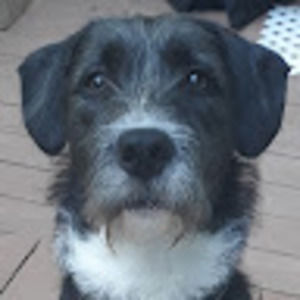 Meet your Posher, Corinna